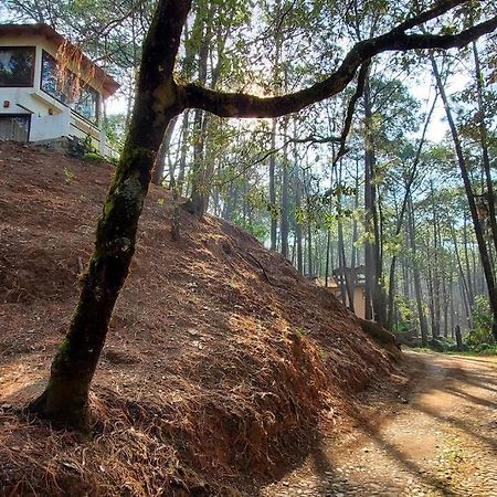 Villa Fantasia A 15 Min A Pie De Cascada Mazamitla Eksteriør billede
