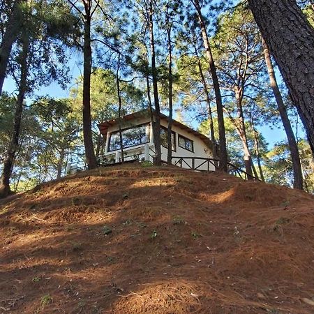 Villa Fantasia A 15 Min A Pie De Cascada Mazamitla Eksteriør billede