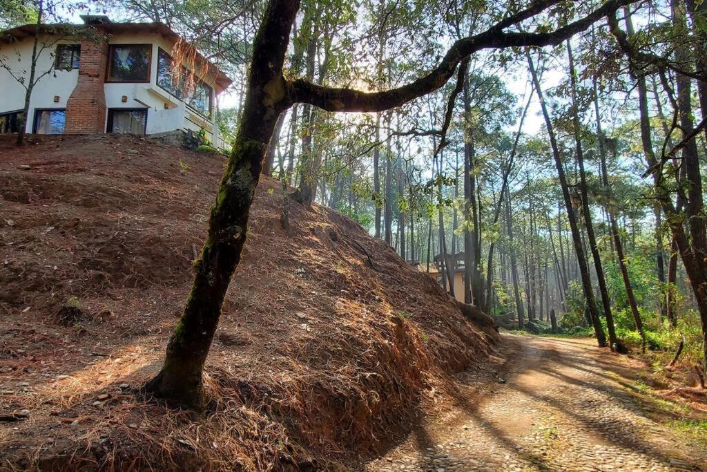 Villa Fantasia A 15 Min A Pie De Cascada Mazamitla Eksteriør billede