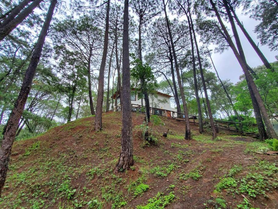 Villa Fantasia A 15 Min A Pie De Cascada Mazamitla Eksteriør billede