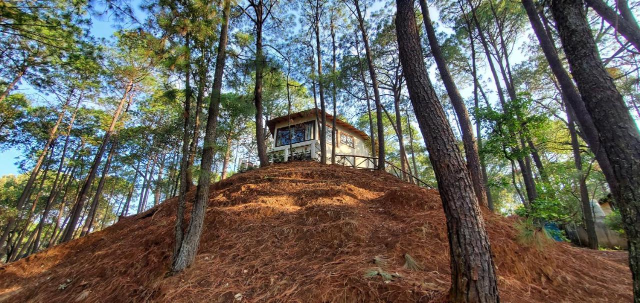 Villa Fantasia A 15 Min A Pie De Cascada Mazamitla Eksteriør billede