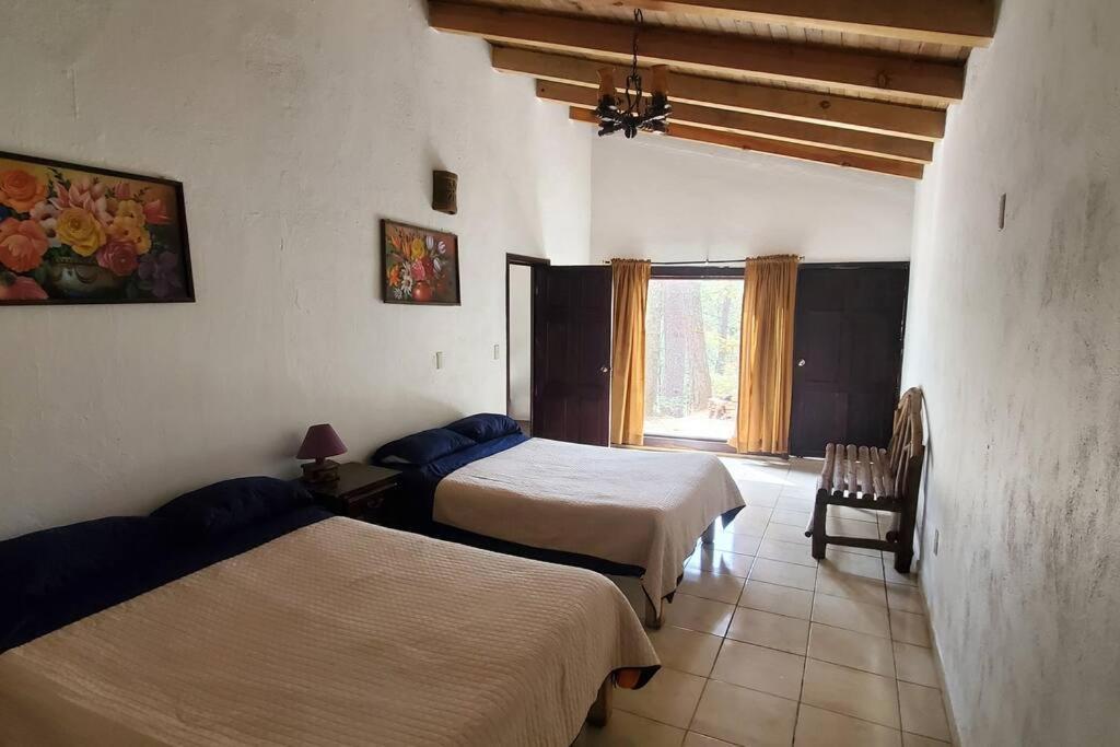 Villa Fantasia A 15 Min A Pie De Cascada Mazamitla Eksteriør billede